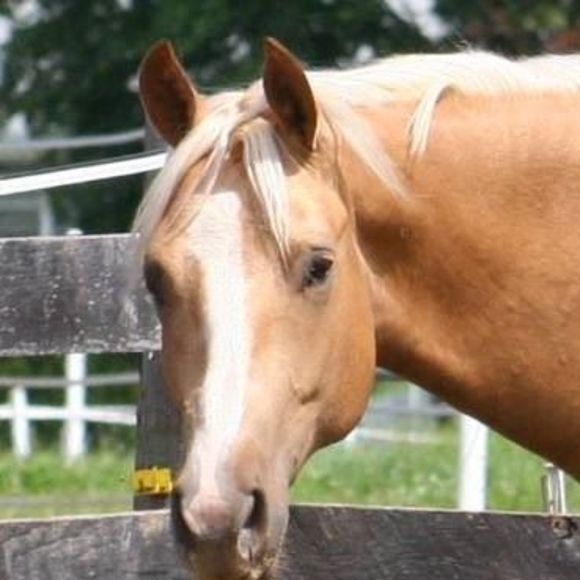 Meet your Posher, Kathy - Picture 1 of 1